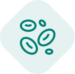 icon id-card